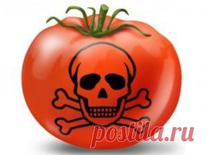 ГМО – крест на потомках.