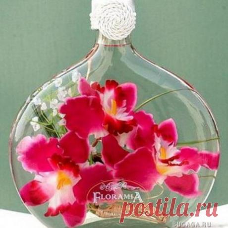 Консервирование цветов в бутылках