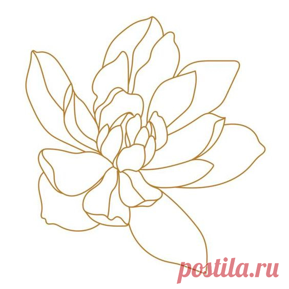 Более 12 600 иллюстраций магнолии, бесплатная векторная графика и клипарты