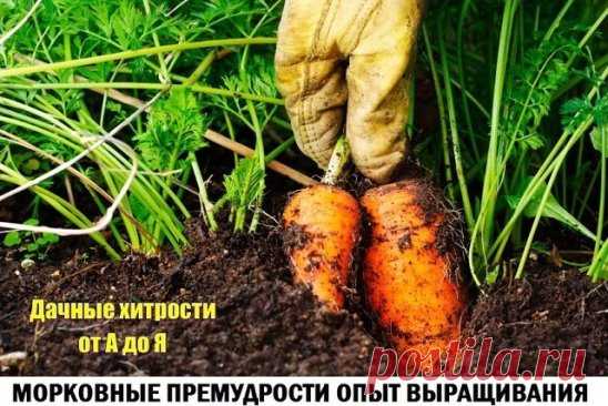 "Правильные" борозды