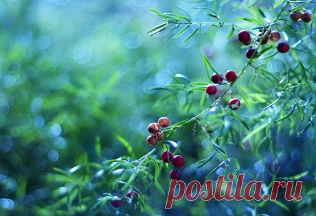 Фотограф Levente Bodo. Обсуждение на LiveInternet -