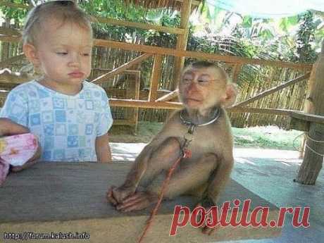 Подозреваки :)