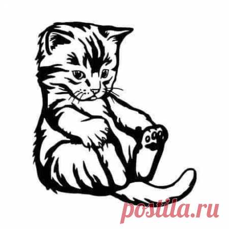 (1515) Pinterest