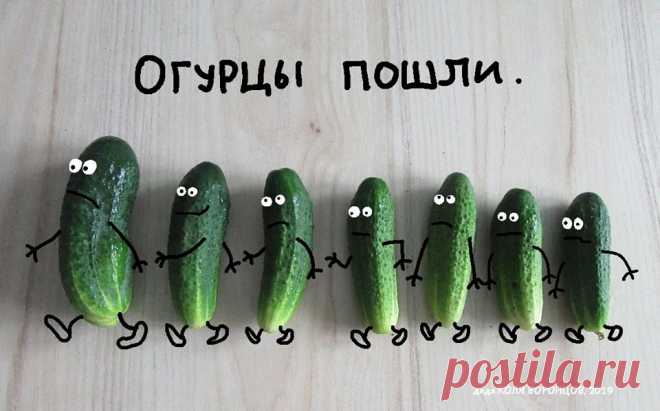 106660047_879434942547012_2906402622082737857_o.jpg (960×598)