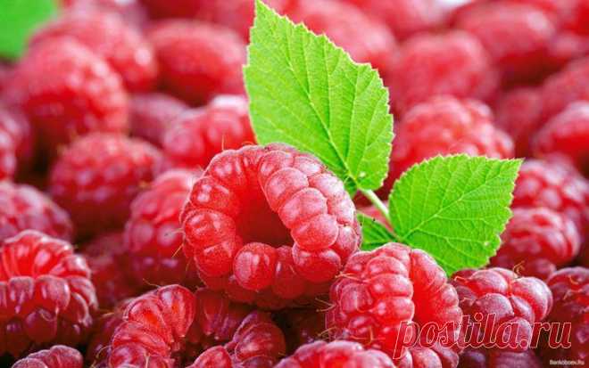 15 самых полезных продуктов питания в мире