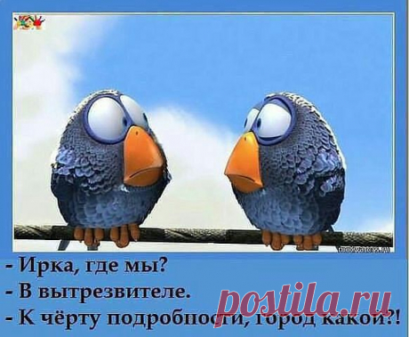 Я не леди. Какая жалость.Ни грамма дамы.