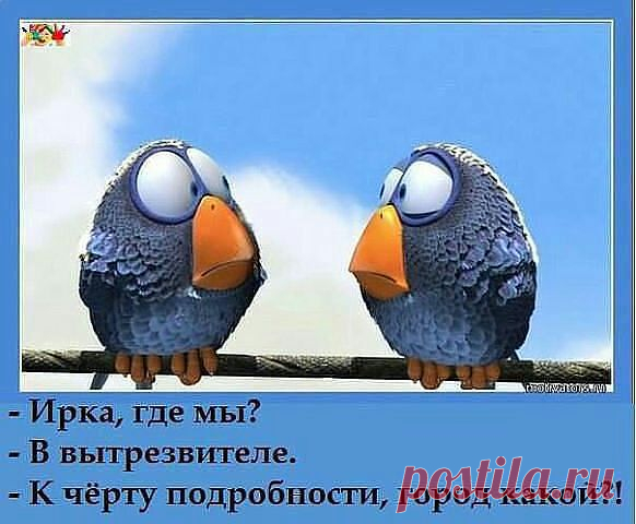 Я не леди. Какая жалость.Ни грамма дамы.