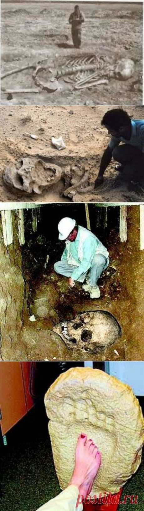 Мыслеупорядочиватель: Исчезнувшие великаны Америки