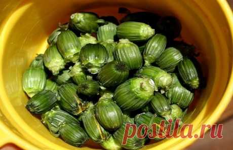 Одуванчик - ЭЛИКСИР ЖИЗНИ А КАКОЕ ЛЕКАРСТВО!!!

Лекарственный одуванчик — растение неприхотливое, но содержащее в себе добрую половину химических элементов таблицы Менделеева.
Натрий, калий, марганец, магний, алюминий, железо, медь, кальций, а также витамины А, С, F и группы В.
Издавна за одуванчиком закрепился статус «эликсира жизни», обладающего болеутоляющим, желчегонным, мочегонным, потогонным, противовоспалительным и тонизирующим действиями.

Во Франции его разводят н...