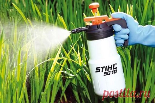 ДАЧНЫЕ ХИТРОСТИ. УКСУС 
 
Муравьи. Эти терпеть не могут запаха уксуса. Советую пройти по участку и залить норки и подходы к ним. Не нужны нам они на участке. А что сделалось с нашей летней загородной мебелью за зиму – вся плесенью пошла! Чем париться с мылом и водой, сбрызнем из распылителя ее уксусом чистым – мгновенно отходит. Скамейки деревянные тоже прекрасно чистятся уксусом. Вообще в вашем патио (у кого есть) или в месте, где вы просто любите вечерком посидеть-отдохн...