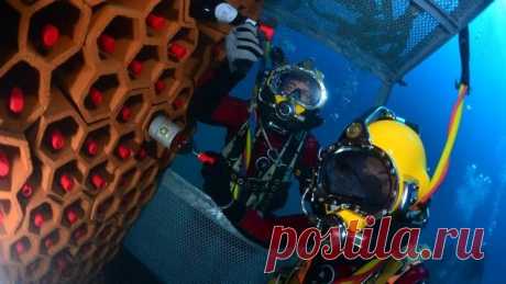 Подводный погреб и как правильно хранить вино | Чёрт побери Два года назад ассоциация виноделов Франции сбросила 120 бутылок красного, белого и розового вина в тайном месте в Средиземном море. Это часть эксперимента, чтобы увидеть, что созревание на морском дне дает лучшие результаты, чем традиционное в подвале. Члены ассоциации виноделов «Les vins de Bandol» заявили, что вдохновило провести этот эксперимент с морским старением. Обнаруженные и открытые амфоры, которые утон...