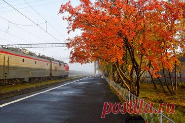 337 карточек в коллекции «Фото недели с 28 сентября по 4 октября» пользователя ЯндексКоллекции в Яндекс.Коллекциях