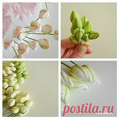 Pinterest