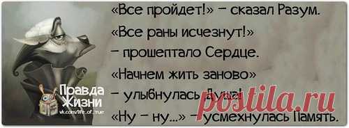 Правда жизни