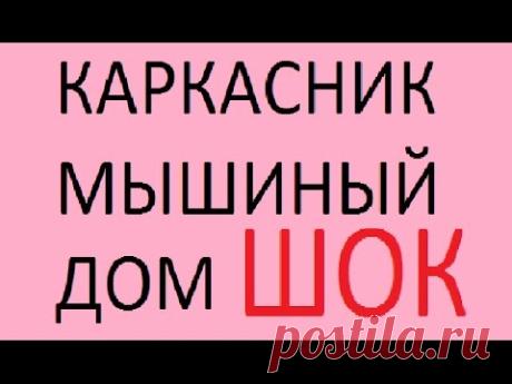 ДОМ КАРКАСНЫЙ МЫШИНЫЙ