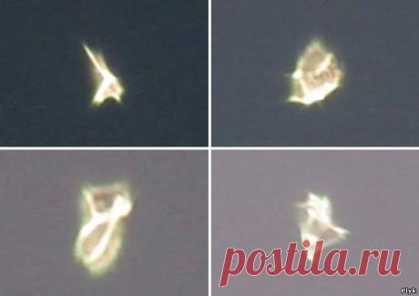 Аномальные новости » Странное НЛО