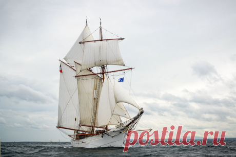 Tall Ships Belfast 2015 | Tall Ships Gallery