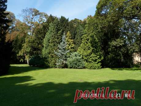 Вы любите природу, даже не спрашиваю, а утверждаю. И тут же задаю вопрос. За что вы любите природу, и что вы находите в ней? Какие мысли она в вас пробуждает или гасит? На фото -один из парков на Пражском Граде...