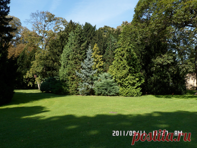 Вы любите природу, даже не спрашиваю, а утверждаю. И тут же задаю вопрос. За что вы любите природу, и что вы находите в ней? Какие мысли она в вас пробуждает или гасит? На фото -один из парков на Пражском Граде...