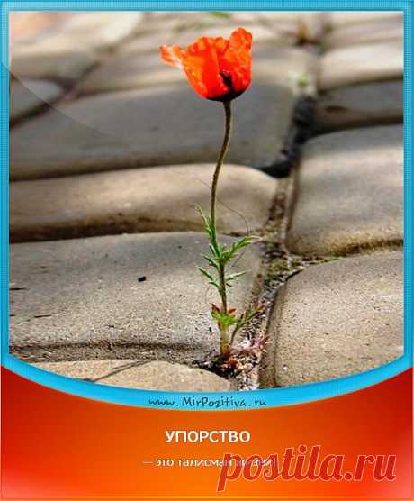 слово