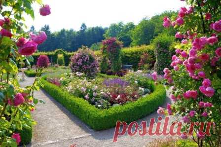 Розы в ландшафтном дизайне сада
#Розы_в_саду #ЛандшафтныйДизайн