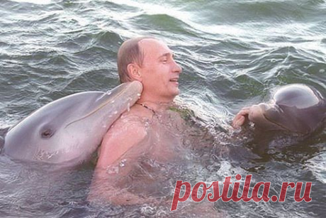 Одноклассники