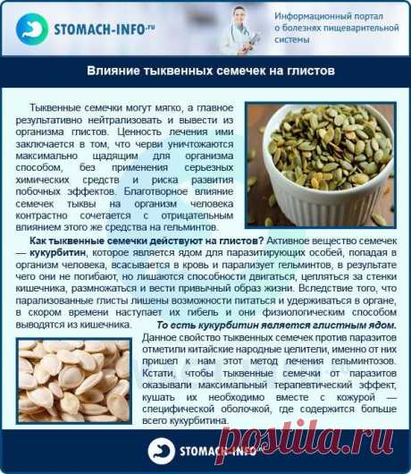 Влияние тыквенных семечек на глистов