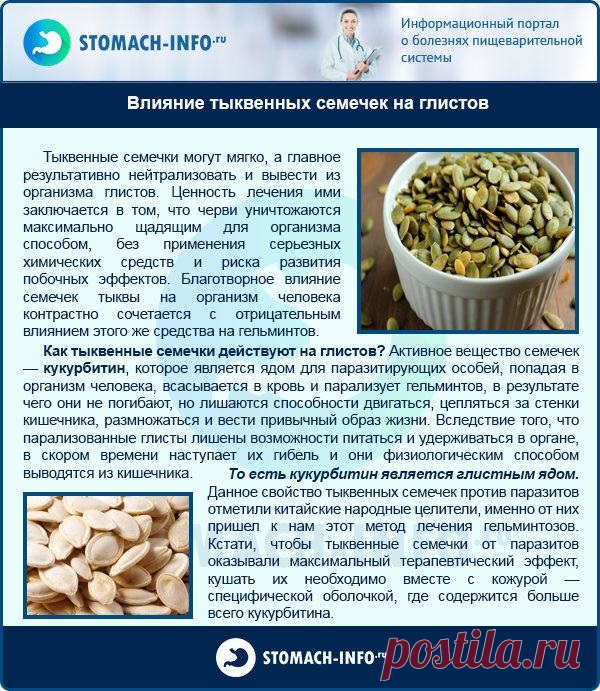 Влияние тыквенных семечек на глистов