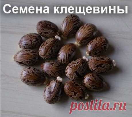 ЛЕЧЕНИЕ СУСТАВОВ, АРТРИТ И АРТРОЗ. ЛЕЧЕНИЕ ПО РЕЦЕПТАМ ВАНГИ. 
Артрит является заболеванием суставов в результате травм, инфекционных заболеваний, ослабляющих защитные силы организма. Кроме того, артрит может быть наследственным недугом.
Это воспалительное забол…