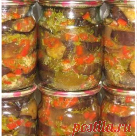 Баклажаны «Казачок».
