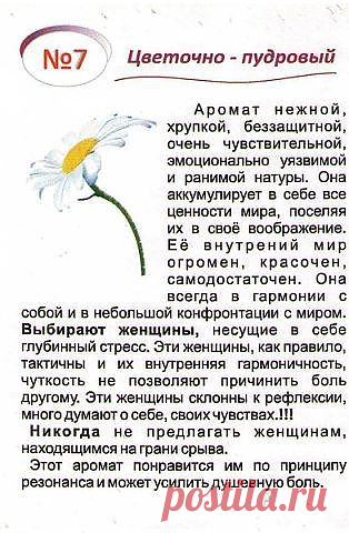Утонченный, волнующий и соблазнительный аромат с нежным звучанием пудровых и мускусных нот, с оттенками цветов и фруктов в облаке прозрачной свежести. 

Для женщины с тонким вкусом и нежной кожей.
Начальные ноты
водяная лилия, нефелиум, белый персик
Ноты "Сердца"
фрезия, ромашка, фиалка, ирис
Конечные ноты
сандал, ветивер, ваниль