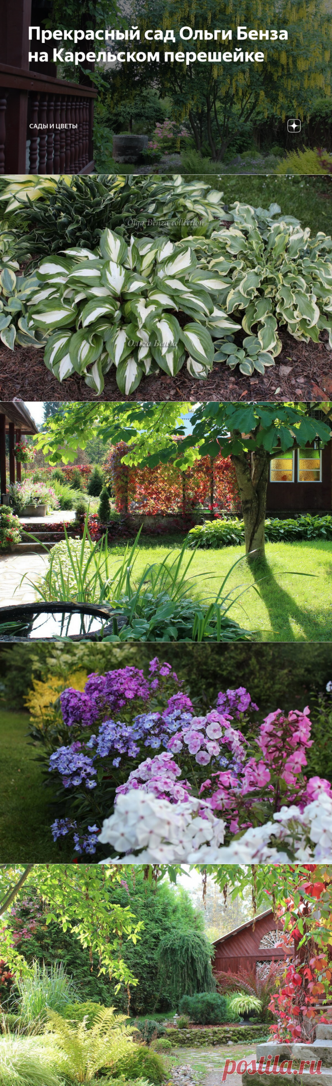 Прекрасный сад Ольги Бенза на Карельском перешейке | Сады и цветы | Яндекс Дзен