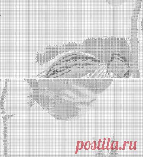 Яркий пион / Вышивка крестом / В рукоделии