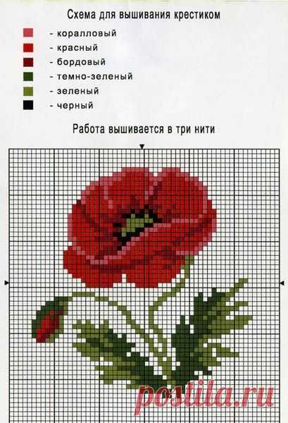 Pinterest • The world’s catalog of ideas
