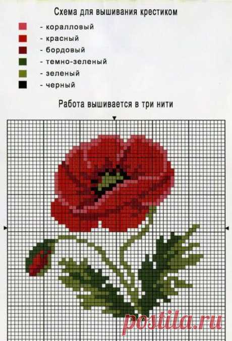 Pinterest • The world’s catalog of ideas