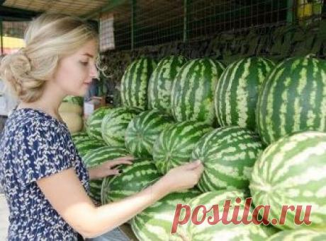 Как проверить арбуз на нитраты в домашних условиях? Простой тест