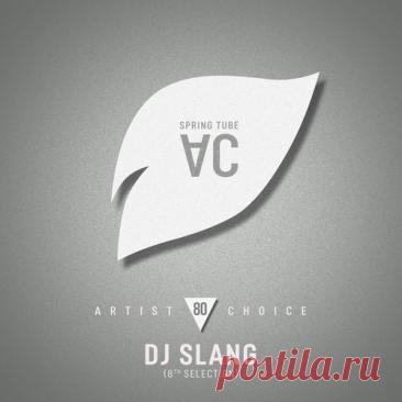 VA – Artist Choice 080 DJ Slang (8th Selection) [SPRAC080] free download mp3 music 320kbps