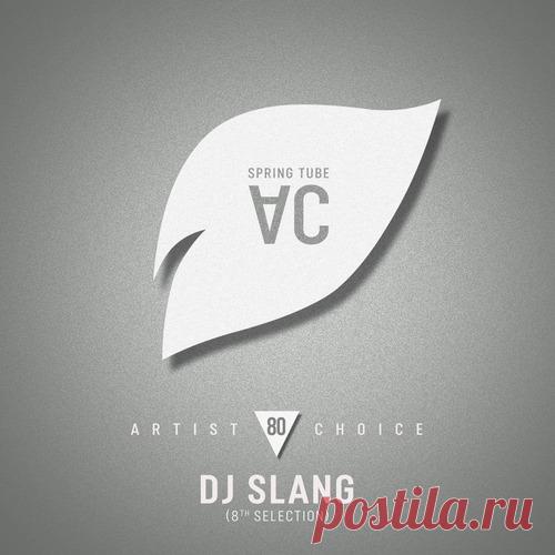 VA – Artist Choice 080 DJ Slang (8th Selection) [SPRAC080] free download mp3 music 320kbps