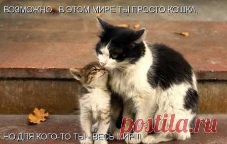 Одноклассники