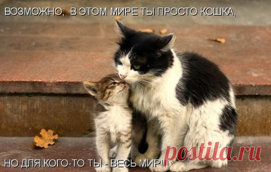 Одноклассники
