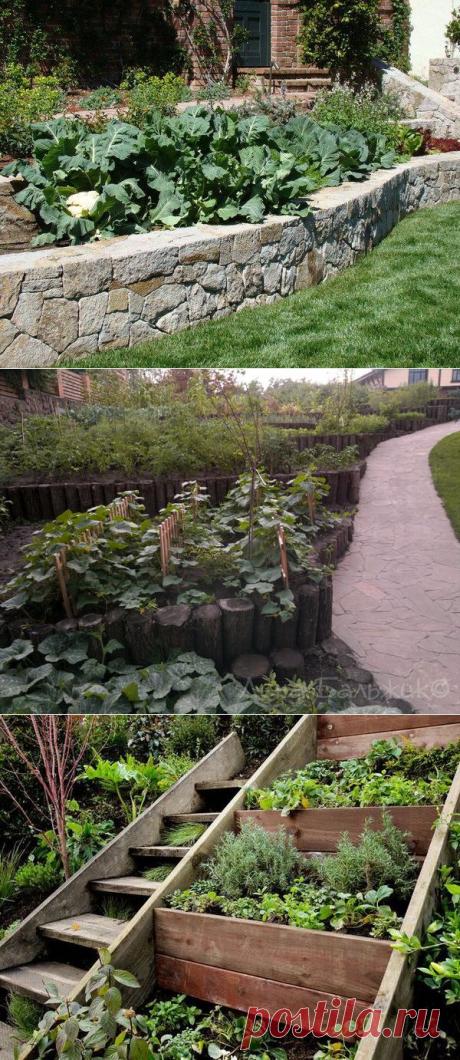 Удачное решение для дачи на склоне - огород на террасах / огород на террасах / 7dach.ru