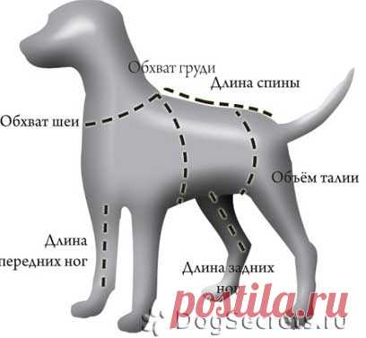 Дневник НататаО