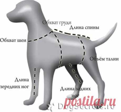 Дневник НататаО