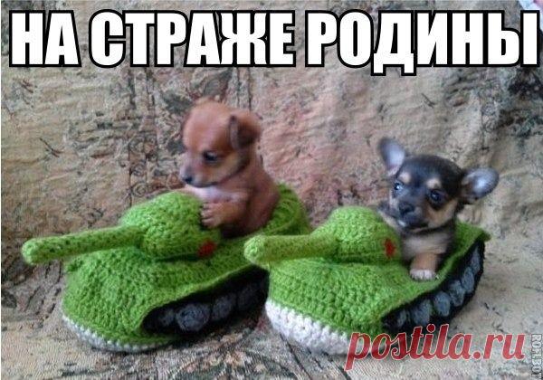 Мой Мир@Mail.Ru