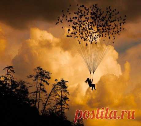 Приколы и позитив / Приколы