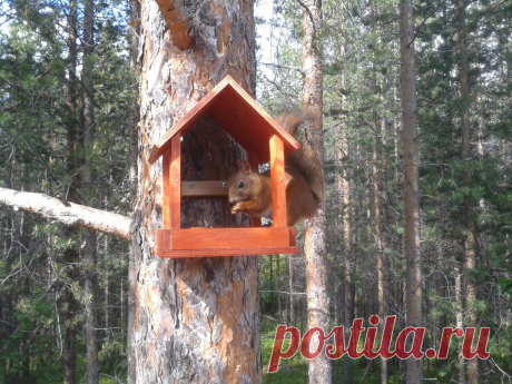 Кандалакша в фотографиях ✔