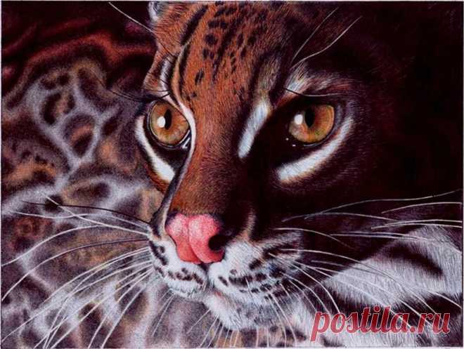 Рисунки шариковой ручкой Сэмюэля Сильвы