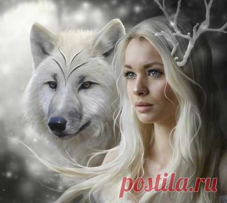 (1) Elifce Örgüler