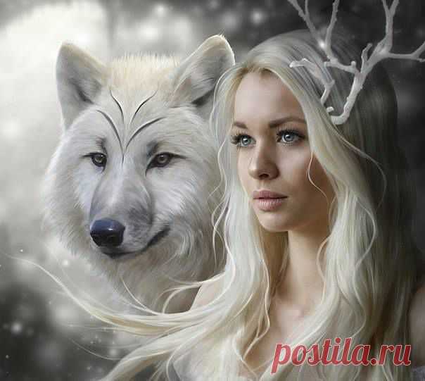 (1) Elifce Örgüler
