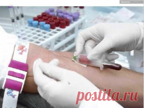 О чём говорят анализы крови